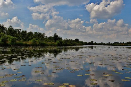 014 Ruim vakantiehuis voor 7 personen op een boerderij vlakbij de Loosdrechtse plassen!