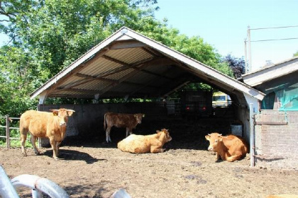 015 Ruim vakantiehuis voor 7 personen op een boerderij vlakbij de Loosdrechtse plassen!