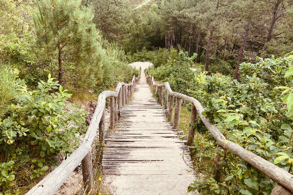 010 Sfeervol 4 persoons vakantiehuis met sauna nabij de Schoorlse Duinen