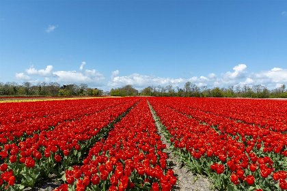 002 Strandhuis Uitwaayer 002 Strandhuis Uitwaayer