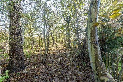 019 Duinland 186