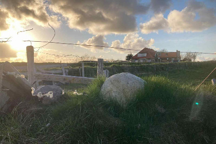 013 Prachtig en ruim vakantie appartement voor 3 tot 6 personen in Den Burg Texel