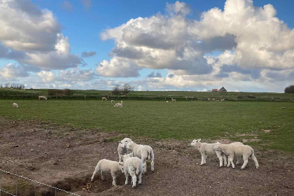 017 Prachtig vakantie appartement voor 4 tot 6 personen in Den Burg Texel