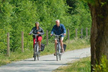 028 4 persoons chalet op vakantiepark Buitenhuizen met buitenzwembad in Velsen Zuid