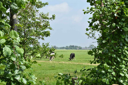 005 Prachtig landelijk gelegen 2 persoons chalet op een boerderij aan de Vecht