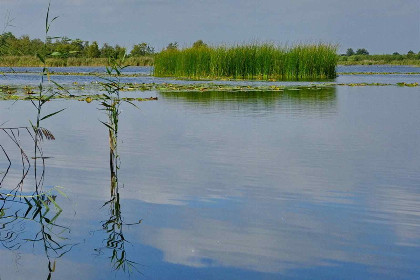 007 Prachtig landelijk gelegen 2 persoons chalet op een boerderij aan de Vecht