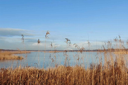 013 Prachtig landelijk gelegen 2 persoons chalet op een boerderij aan de Vecht