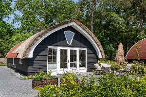 Gezellig 6 persoons vakantiehuis met sauna midden in de bossen nabij Giethoorn