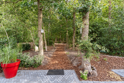 003 Gezellig 6 persoons vakantiehuis met sauna midden in de bossen nabij Giethoorn