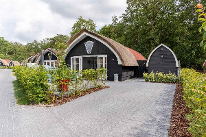 Moderne 6 persoons vakantiehuis huisdiervrij in de bossen nabij Giethoorn