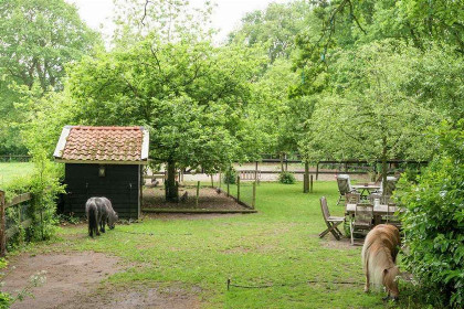 029 groepsaccommodatie voor 12 personen met houtkachel