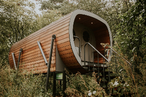 Unieke 4 persoons Tiny House in de hoogte tussen de bomen in Balkbrug