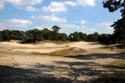 025 Knus 4 persoons vakantiehuis nabij Ommen in het Sallandse landschap