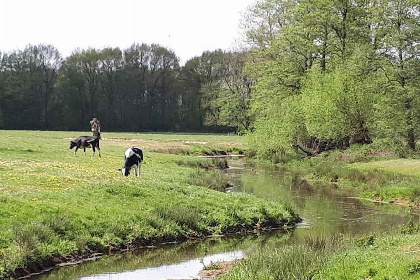 024 Mooi 4 persoons vakantiehuis in het Vechtdal nabij Beerze