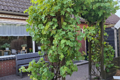 001 2 persoons vakantiehuis bij een boerderij in Beerzerveld nabij Hardenberg