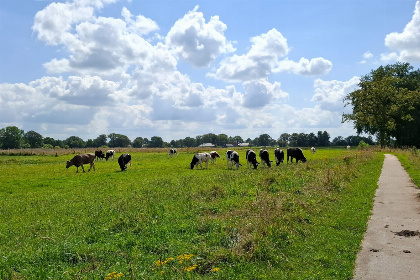 011 2 persoons vakantiehuis bij een boerderij in Beerzerveld nabij Hardenberg