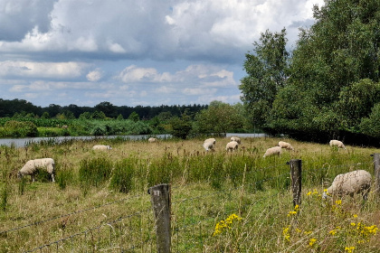 017 2 persoons vakantiehuis bij een boerderij in Beerzerveld nabij Hardenberg