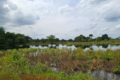 026 2 persoons vakantiehuis bij een boerderij in Beerzerveld nabij Hardenberg