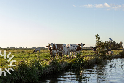 005 Heerlijke vakantievilla aan het water, vlakbij Giethoorn