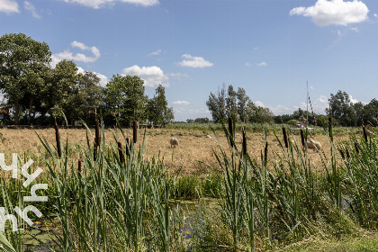 035 Heerlijke vakantievilla aan het water, vlakbij Giethoorn