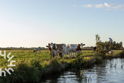 013 Luxe vakantievilla aan het water, vlakbij Giethoorn