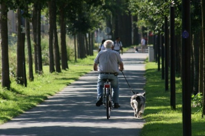 030 6 persoons vakantiehuis met mooie tuin in het Vechtdal