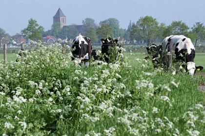 023 Heerlijk, 2 persoons vakantiehuis in het Vechtdal