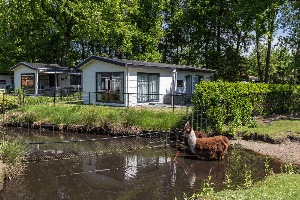 Chalet voor 4 personen met terras aan het water in Steenwijk