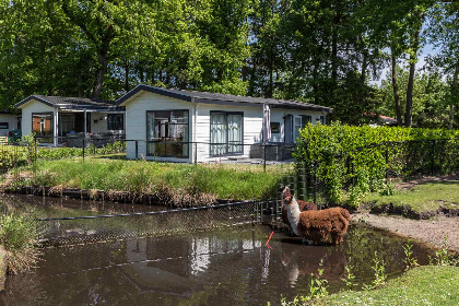 Nederland, Overijssel, De Bult