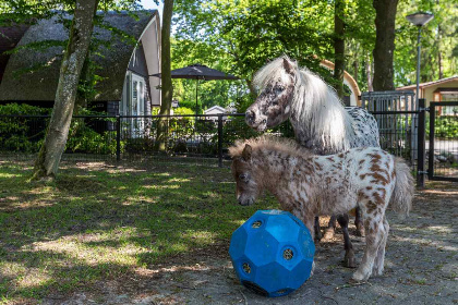 029 Gezellig 18 persoons kasteel, gelegen op vakantiepark midden in de bossen!