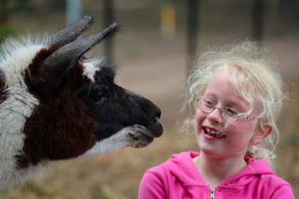 010 Leuk zes persoons chalet op familiepark in de bossen