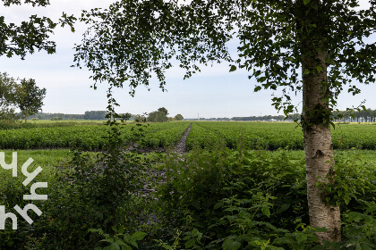 006 Prachtig 2 persoons boerderij appartement in het Overijsselse dorp De Krim