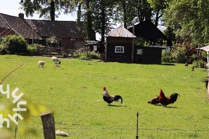 019 Prachtig 2 persoons boerderij appartement in het Overijsselse dorp De Krim