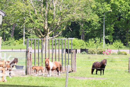 020 Prachtig 2 persoons boerderij appartement in het Overijsselse dorp De Krim