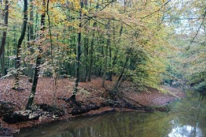 002 Mooi 2 persoons boerderijappartement met uitzicht over prachtige boomgaard