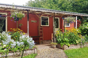 Vierpersoons chalet in het bos, op het drie provinciepunt Drenthe, Friesland en Overijssel