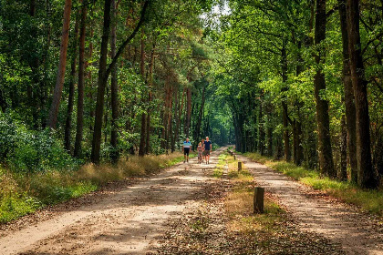 020 Comfortabel appartement voor 2 personen op een rustige camping in de natuur van Twente