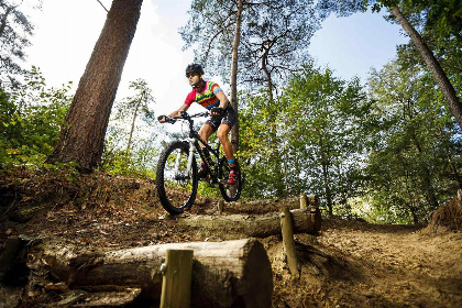 032 Comfortabel appartement voor 2 personen op een rustige camping in de natuur van Twente