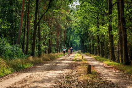 052 Comfortabel appartement voor 2 personen op een rustige camping in de natuur van Twente