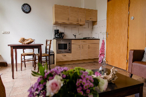 Comfortabel boerderij appartement voor 2 personen op een rustige camping in Den Ham