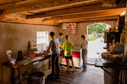 004 Gezellig boerderij appartement voor 4 personen op een camping in het landelijke Den Ham