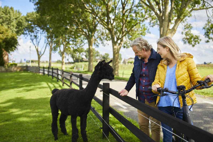 054 Gezellig boerderij appartement voor 4 personen op een camping in het landelijke Den Ham