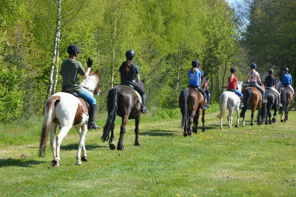 007 Vrijstaande zespersoons vakantieboerderij op een vakantiepark in Den Ham