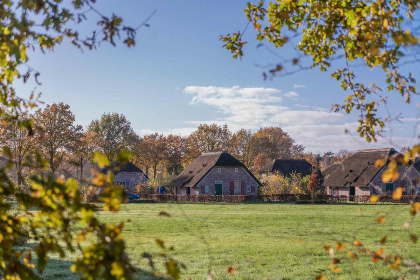 019 Vrijstaande zespersoons vakantieboerderij op een vakantiepark in Den Ham