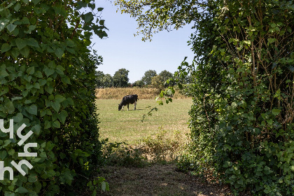 042 Gezellig 6 pers. vakantiehuis in Eesveen, op de grens van Overijssel, Friesland en Drenthe