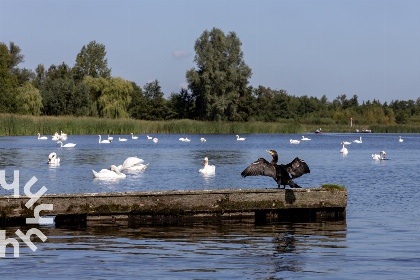 012 Gezellige 2 persoons vakantiestudio bij Landgoed de Eese in Eesveen