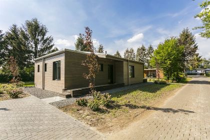 011 Boslodge Olivia   4 personen