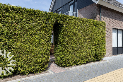 025 20 persoons groepsaccommodatie in het centrum van Giethoorn