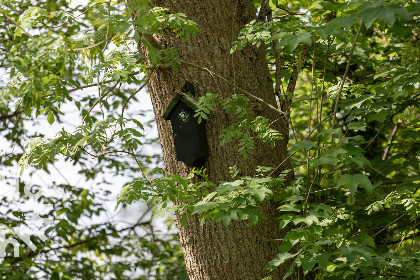 003 Fraai gelegen 2 persoons vakantiehuisje met uitzicht op natuurgebied in Giethoorn