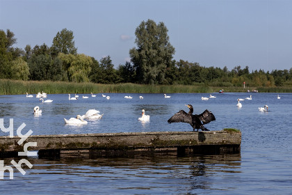 005 Fraai gelegen 2 persoons vakantiehuisje met uitzicht op natuurgebied in Giethoorn